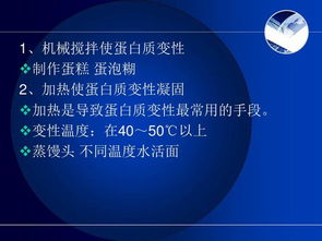 酒店管理中的烹饪与膳食管理基础