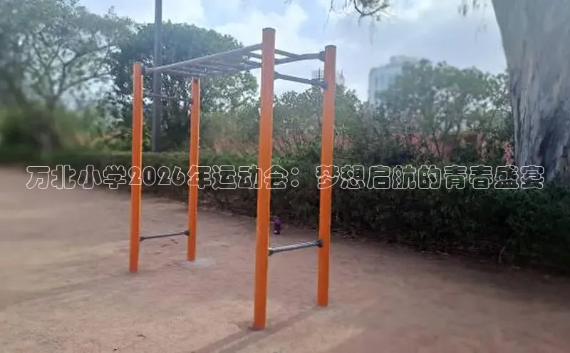 熊猫体育app官方入口